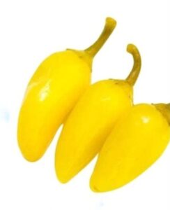Baby Chilli